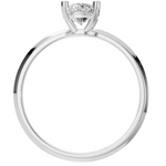 Load image into Gallery viewer, The Oval Elegance Ring