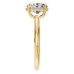 Load image into Gallery viewer, Soft Halo Oval Diamond Ring