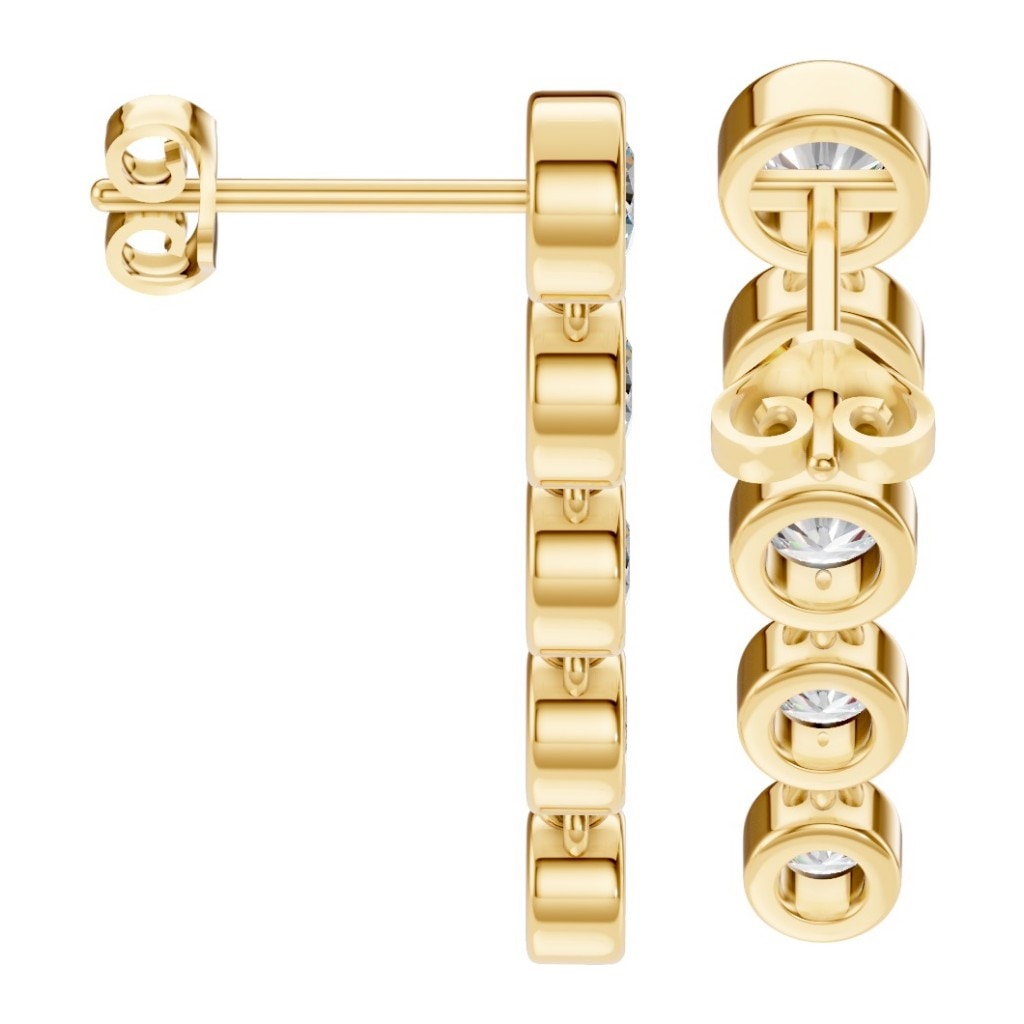 Degrade Drop Earrings