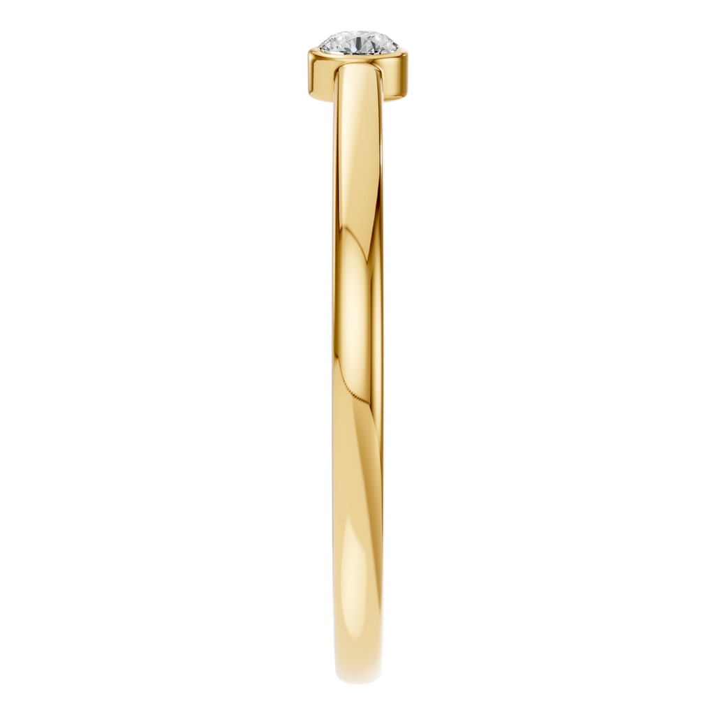 The Duality Ring - RI2970